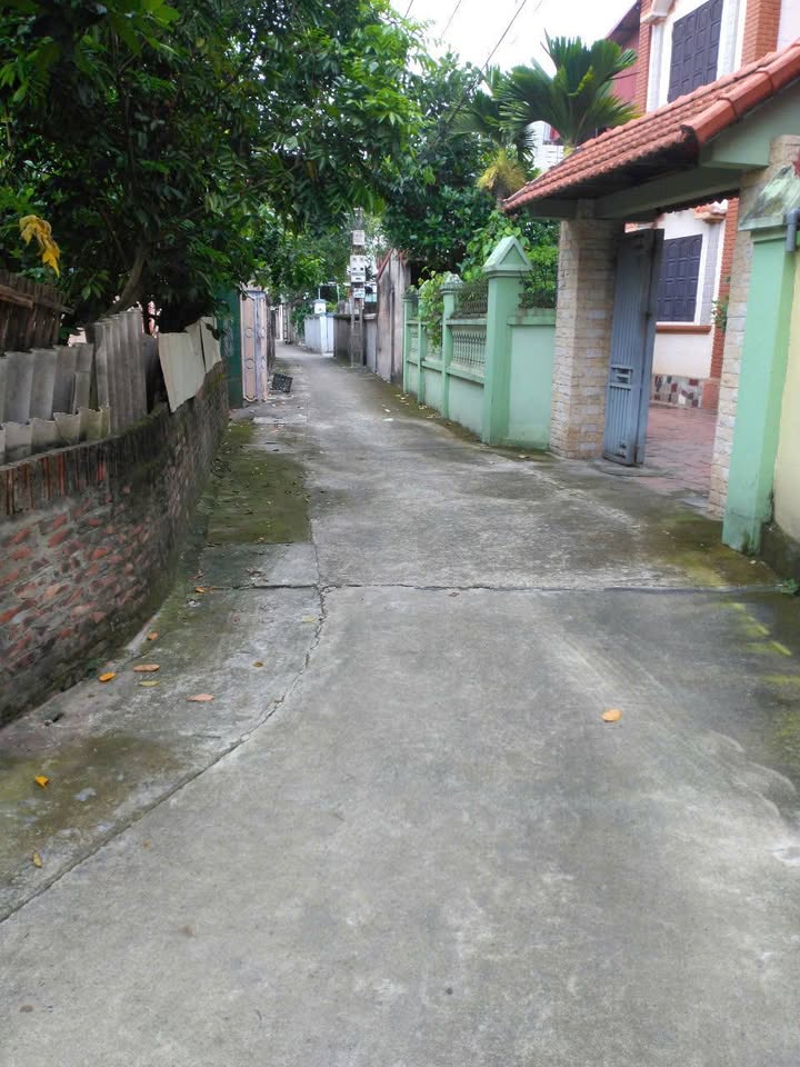 Đất nền Thanh Khương 47m² - Đường to ô tô, lô góc đắc địa!