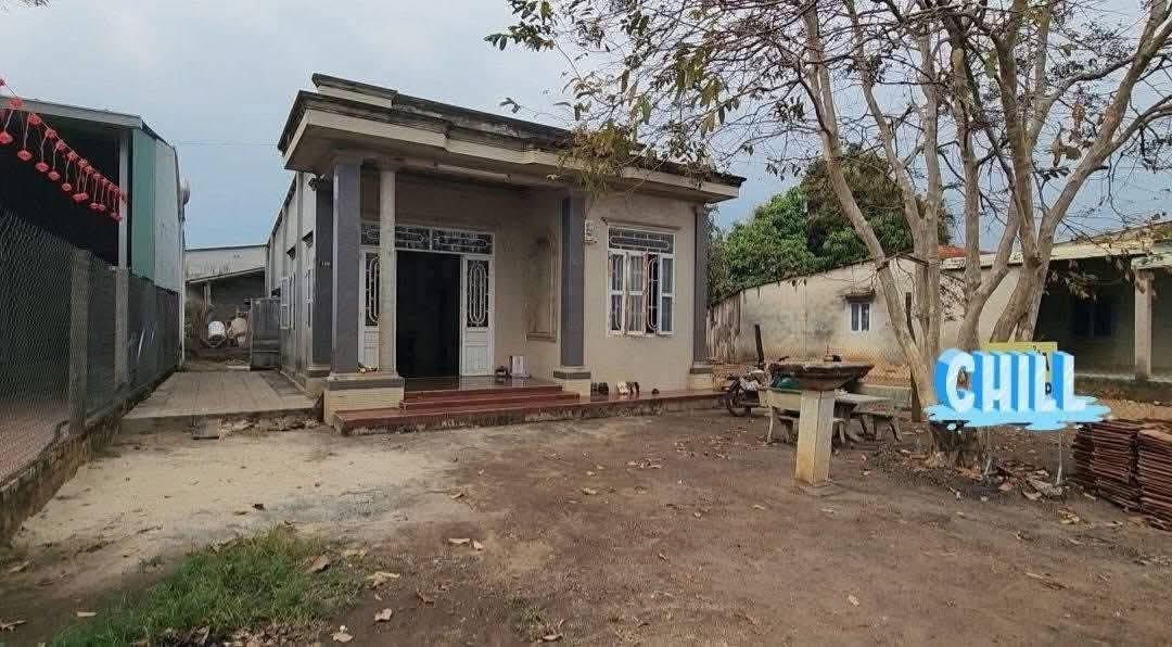 Bán nhà mặt tiền Tân Thành Bù Đốp 302m² giá 650 triệu - Kinh doanh ngay