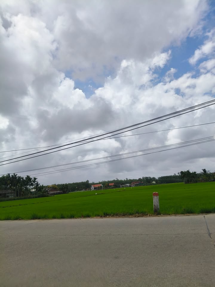 Đất Vườn Tịnh Thọ Sơn Tịnh 4000m² 1 Tỷ - Nghỉ Dưỡng Lý Tưởng!