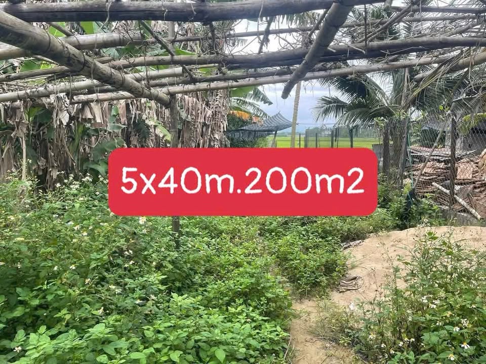 Đất nền Xã Nghĩa Trung, Tư Nghĩa 200m² - Đất thổ cư 100%!
