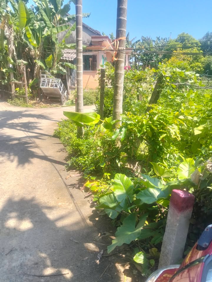 Đất nền Nghĩa Hà 173m² - Sổ đỏ chính chủ, tiềm năng tăng giá!