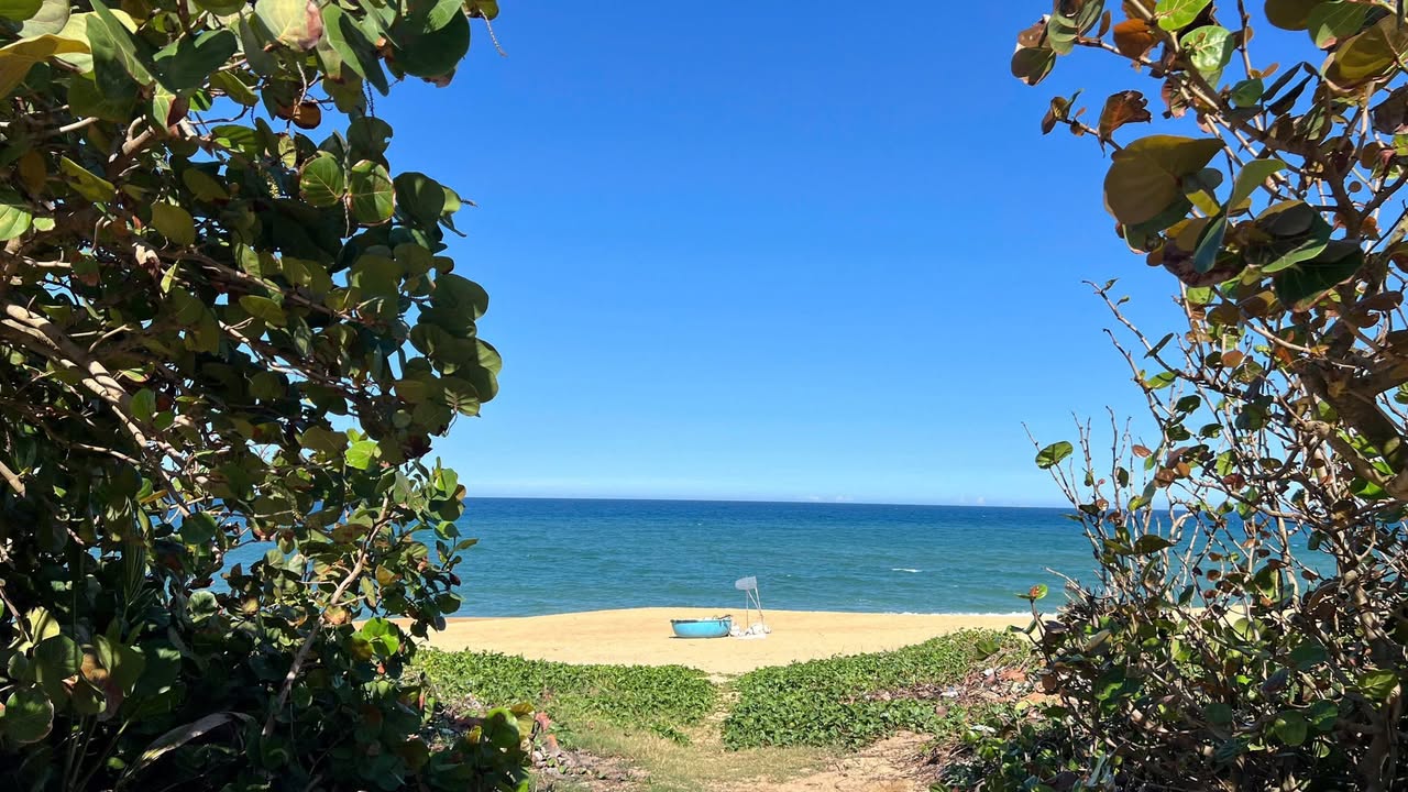 Mặt Tiền Biển Hoài Hải 14m Ngang - 340m² Đất Vàng, Giá 3.x Tỷ