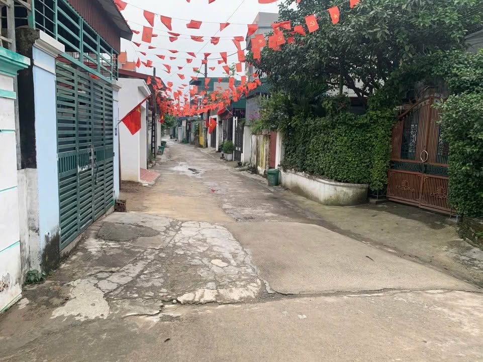 Đất nền Phường Bích Đào 85m² - Đường to ô tô, ô tô tránh nhau!