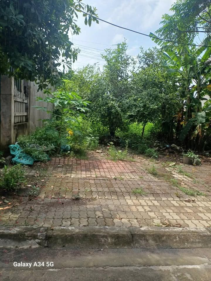 Đất nền Tân Nhất Nho Quan 80m² 1.7 tỷ - Sổ đỏ chính chủ