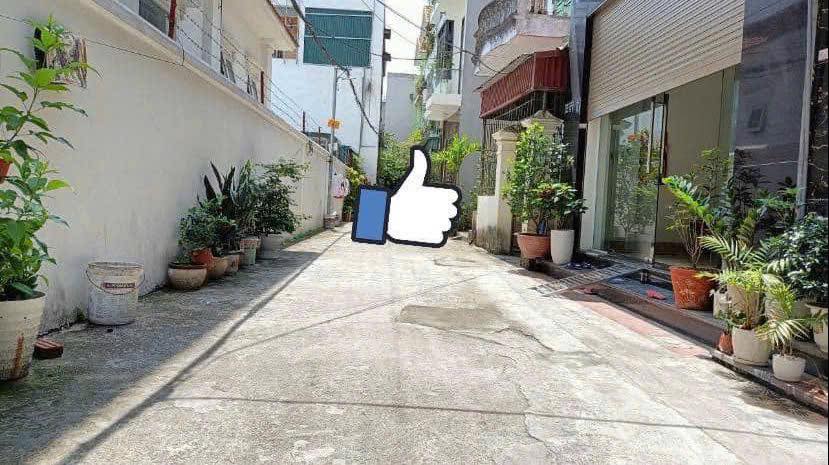 Đất Nền Vuông Vắn 53m² Ngõ Nguyễn Hữu Cầu, TP Hải Dương - Giá 1.98 Tỷ