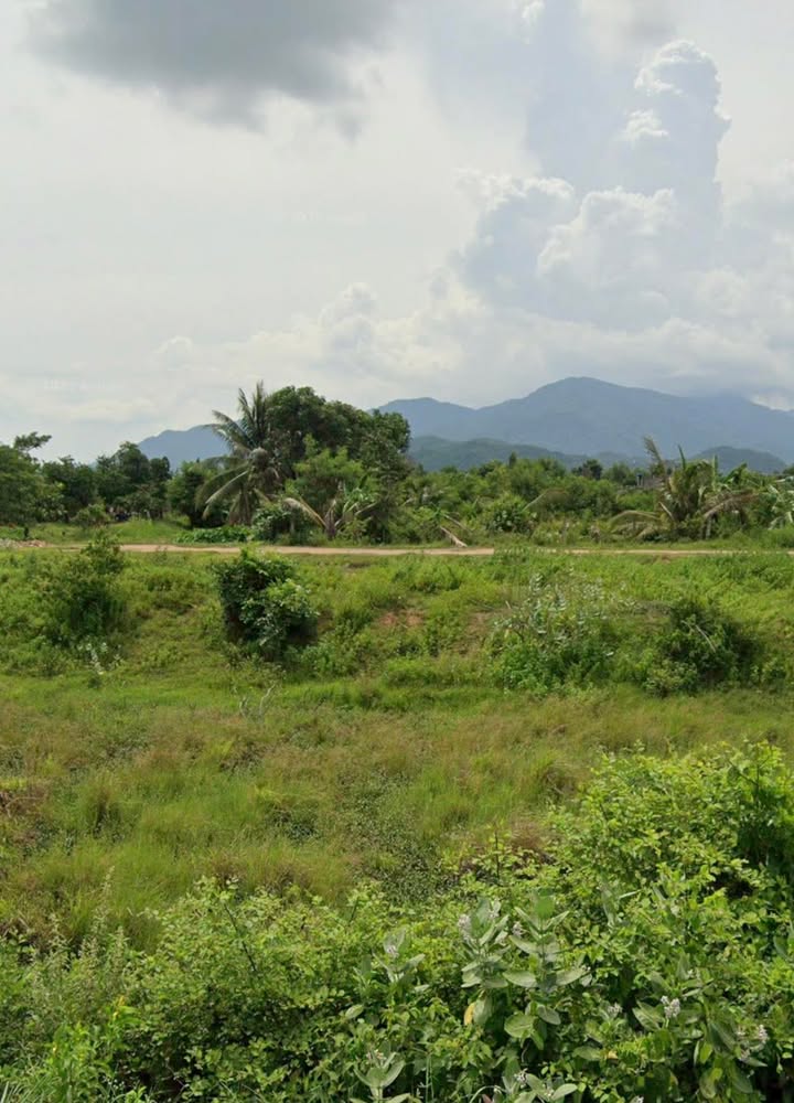 Bán đất cây trồng Hàm Liêm, Bình Thuận 3500m² quy hoạch thổ cư - 1.05 tỷ