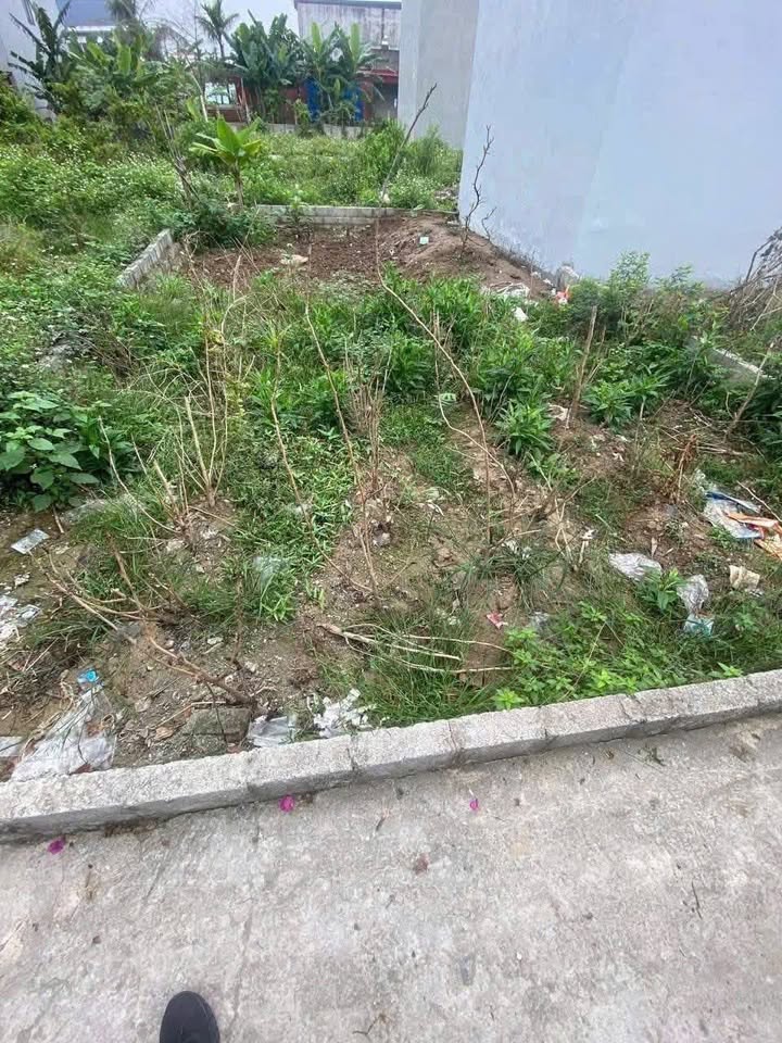 Bán đất Hải Thành, Dương Kinh 48.8m² - Sổ hồng, ô tô vào tận nơi