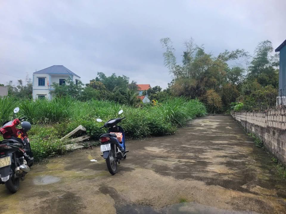 Đất nền Việt Hưng Hạ Long 55.5m² - Ngõ ô tô, hướng Tây, giá 700 triệu