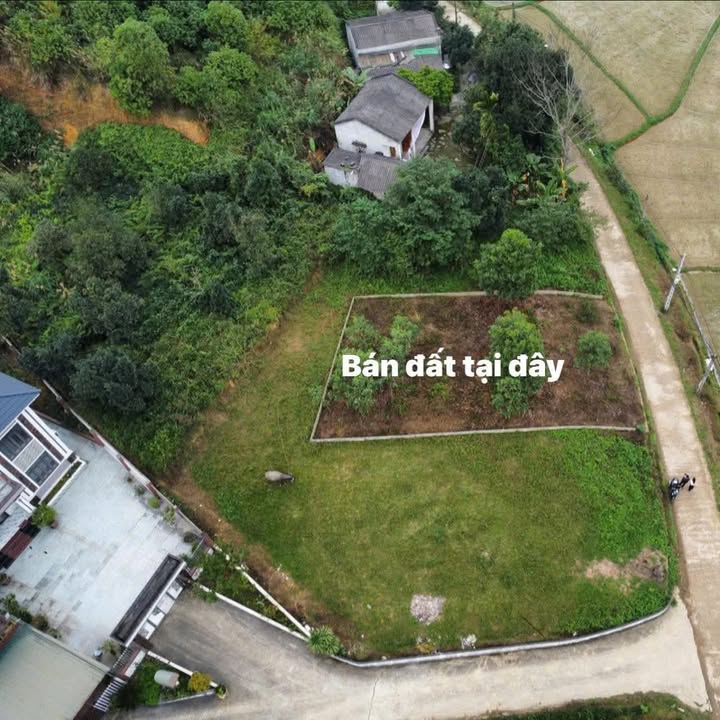 Đất nền Vô Tranh, Phú Lương 124m² - Tiềm năng tăng giá vượt trội!