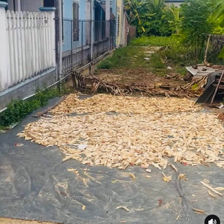 Đất mặt tiền QL1A Lân Phong 200m² giá 1 tỷ - Sổ đỏ chính chủ!