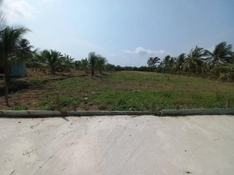 Đất Nền Mỹ Phong, Mỹ Tho 247.35m² - Sẵn Sổ Hồng, Giá Tốt