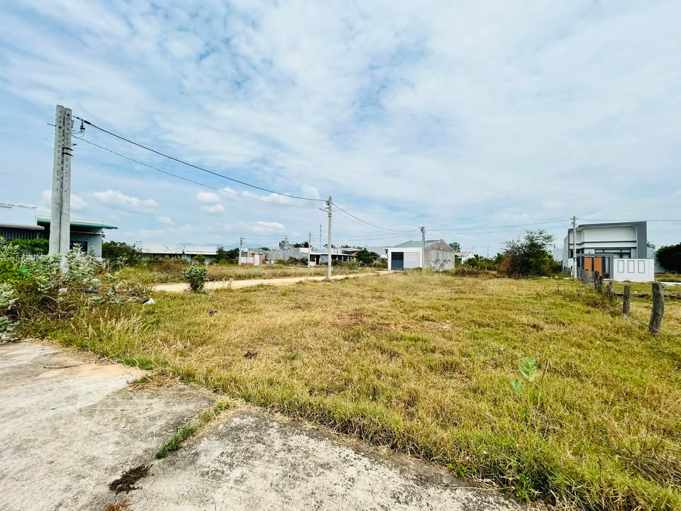 Đất Nền 800m² Sổ Sẵn, Đường Ô Tô Tận Nơi - Hàm Thuận Bắc, Bình Thuận