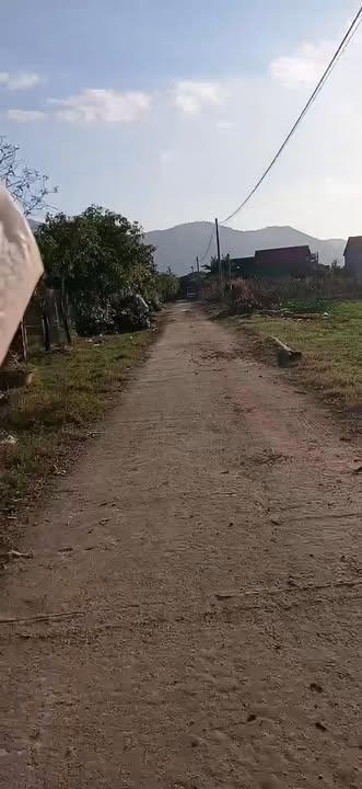 Bán Gấp 2 Lô Đất Thổ Cư Liền Kề 294m² Xã Bình Tường, Tây Sơn - Giá Đầu Tư 1.3 Tỷ