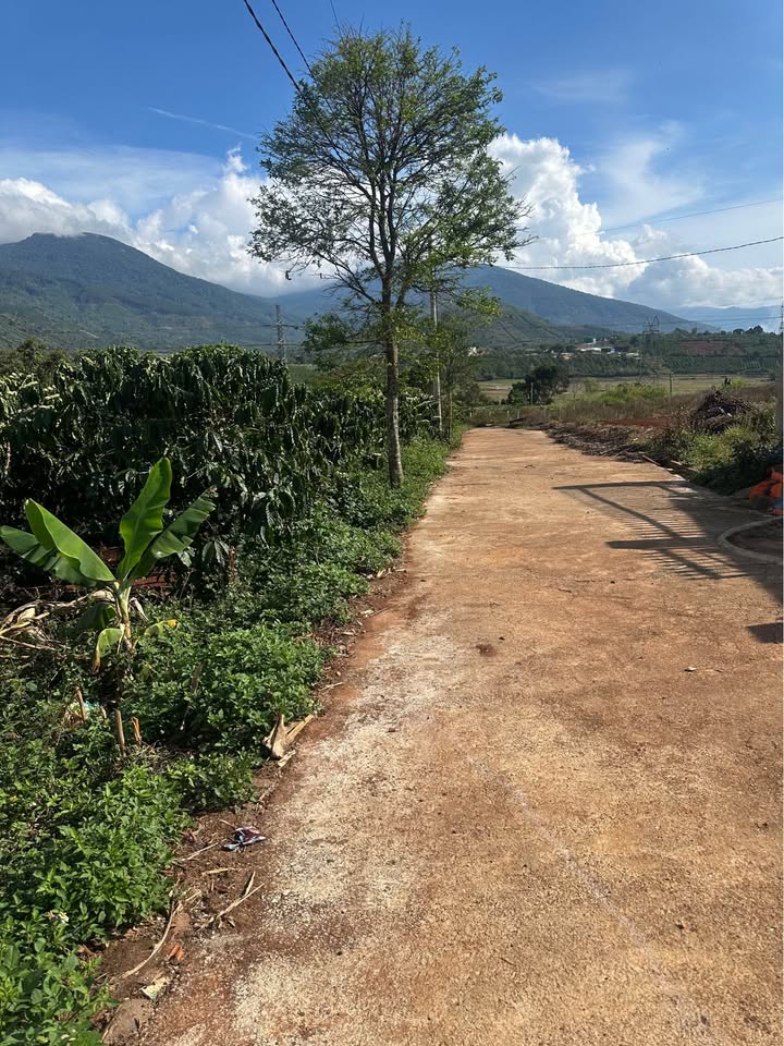 Bán Đất Thổ Cư 2000m² Lộc Phát, Gần QL20, Di Linh - Giá Tốt 8xx Triệu