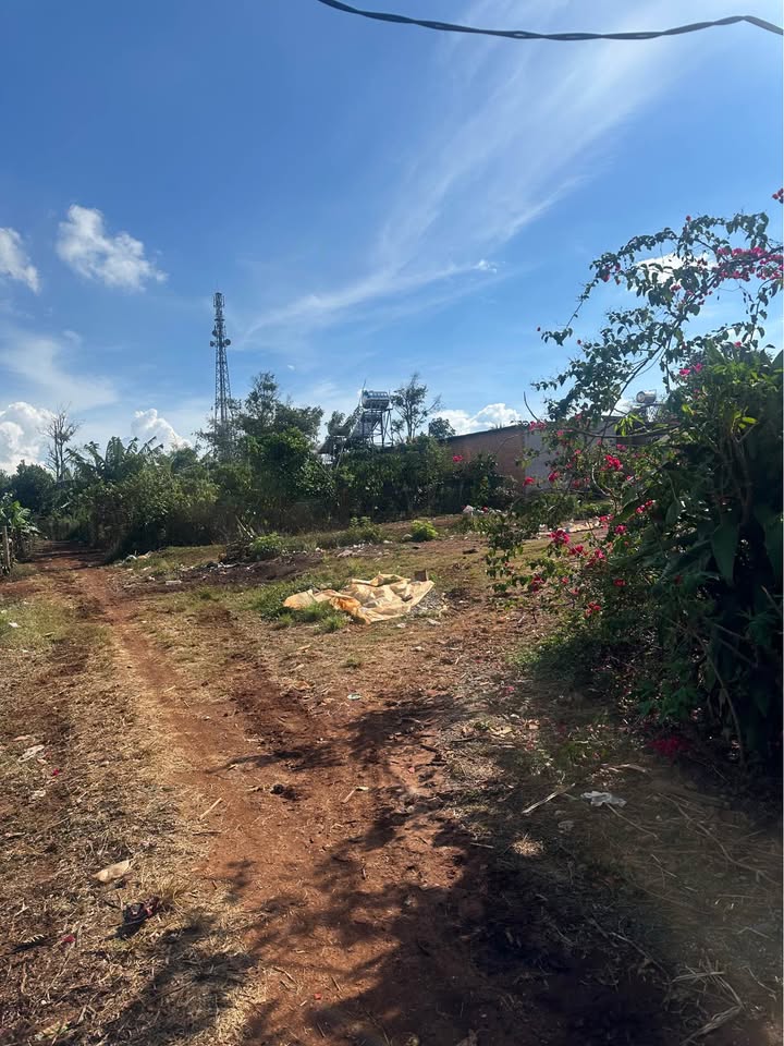 Bán đất thổ cư 2400m² mặt QL20, Di Linh, Lâm Đồng - Giá 6xx Triệu