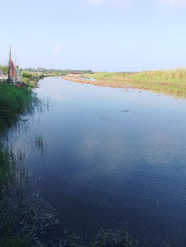 Bán Đất Vàng 14.000m² Cà Mau - Giá Đầu Tư 3.96 Tỷ