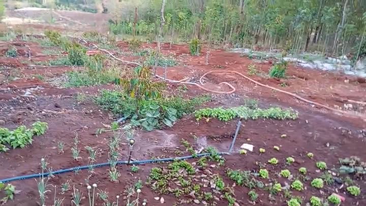 Đất Vườn Ea H'leo 18000m² 750 Triệu - Giá Đầu Tư Tốt, Sổ Đỏ Sẵn Sàng!