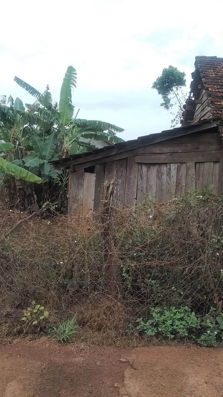 Đất Nền Thôn 7 Ea Wy, Đắk Lắk - 375m² Thổ Cư, Sổ Đỏ, Mặt Tiền Đường Bê Tông