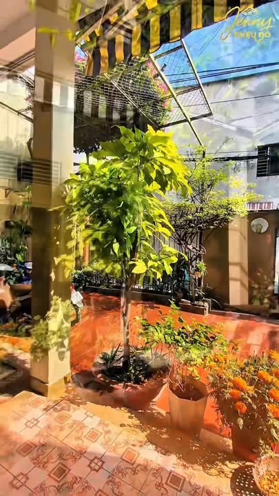 Nhà Mặt Tiền Vòng Xoay Phú Lâm, Quận 6 - 206m² Sổ Hồng Riêng