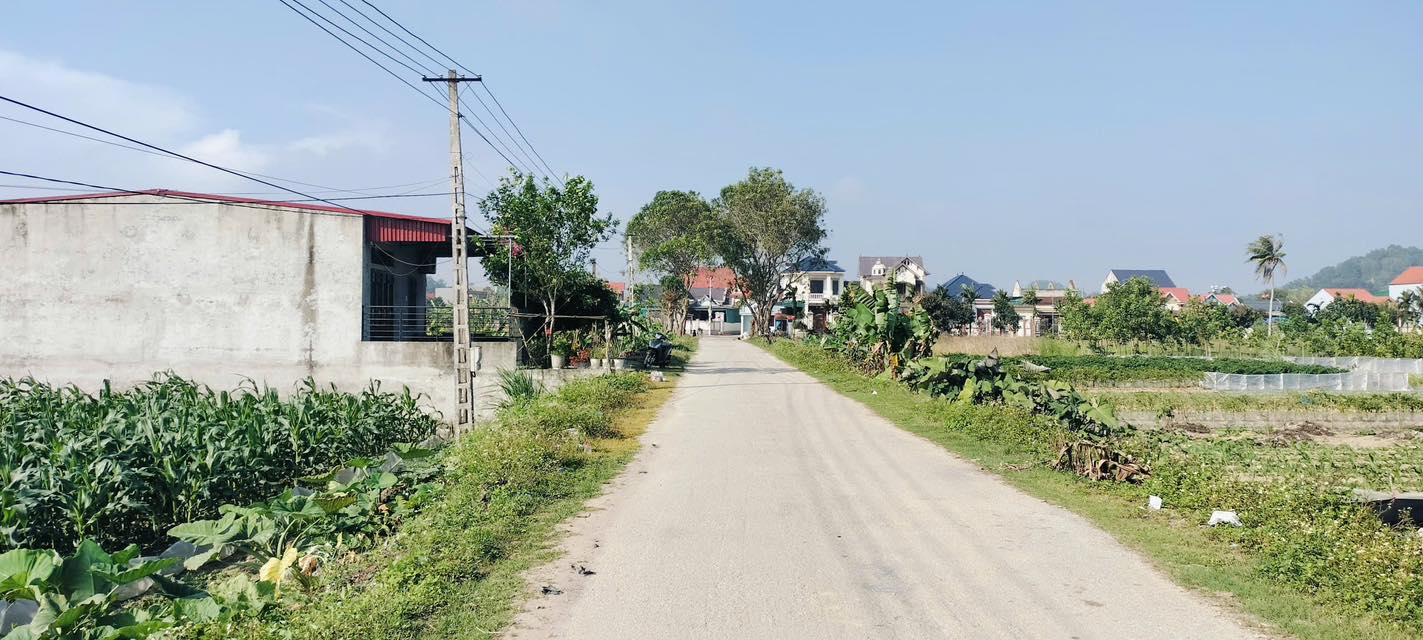 Đất nền Quang Lộc, Hậu Lộc 196m² - Đường to ô tô, pháp lý rõ ràng