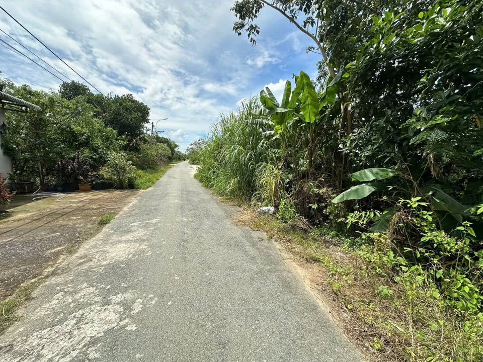 Đất nền Củ Chi 289m² giá 2 tỷ - Giá tốt hiếm có!