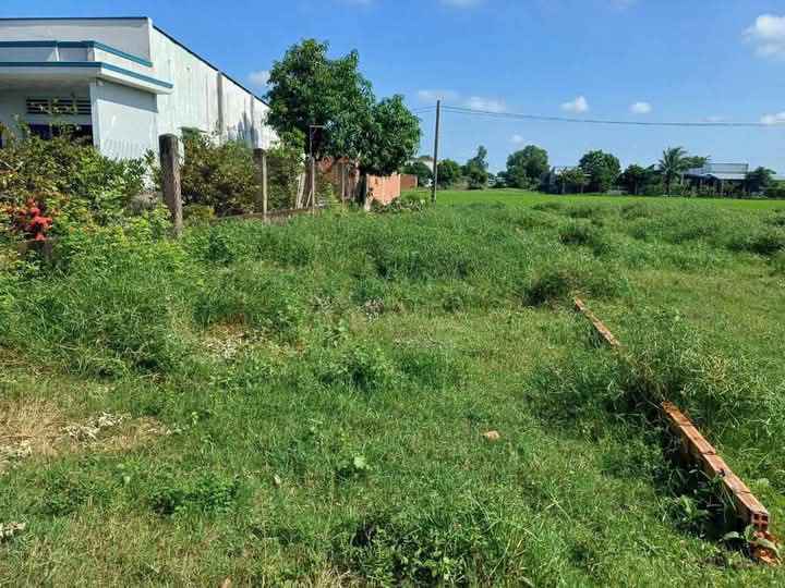 Đất thổ cư sổ hồng riêng 102m² tại Đức Hòa, Long An - Giá 800 triệu