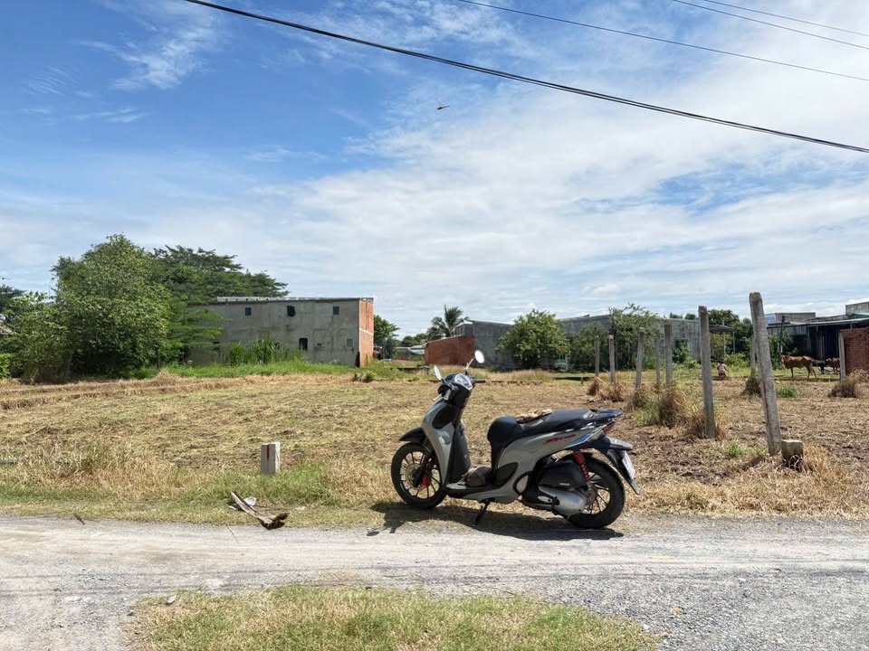 Đất Nền Mỹ Hạnh, Tây Ninh 100m² - Sổ Hồng Sẵn, Giá Đầu Tư 799 Triệu