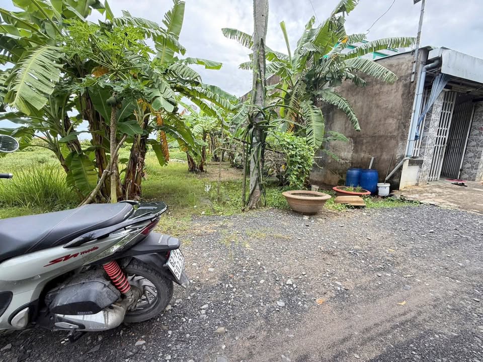 Đất nền Đức Hòa 105m² 890 triệu - Sổ đỏ chính chủ!