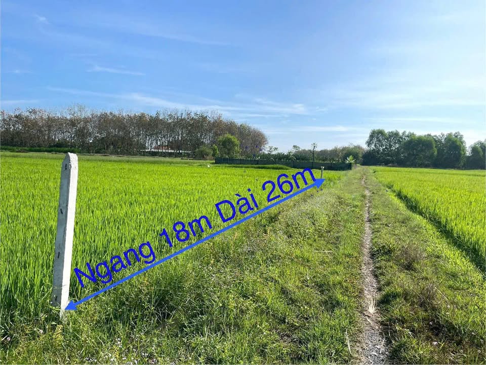 Đất vườn Trung Lập Thượng Củ Chi 468m² giá 650 triệu - Nghỉ dưỡng lý tưởng!