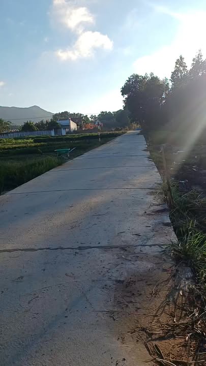 Đất vườn Phước Hải 4000m² giá 7 tỷ - Nghỉ dưỡng lý tưởng!