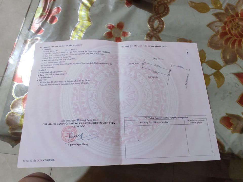 Đất nền Kim Xuyên, Kim Thành 115m² - Tiềm năng tăng giá vượt trội!