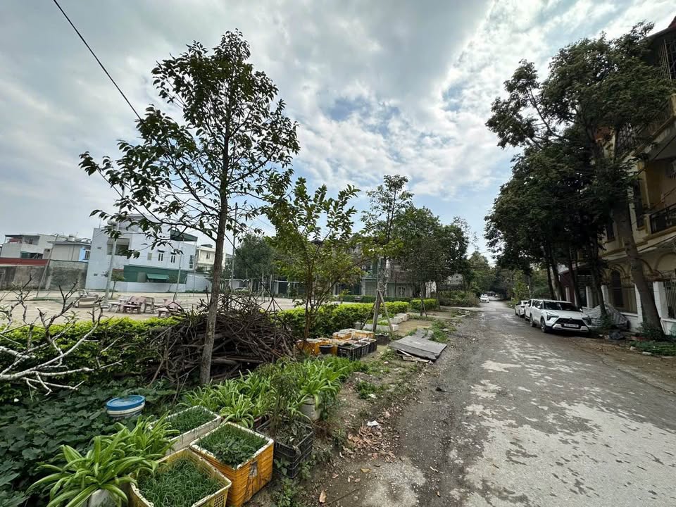 Đất Tặng Nhà Quảng Thắng 150m² - Tách 2 Lô - Giá Tốt