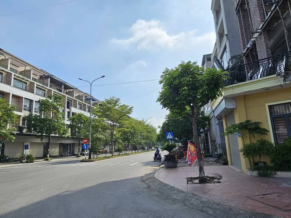 Đất nền Lê Thánh Tông Bắc Ninh 258m² - Tiềm năng tăng giá cực lớn!