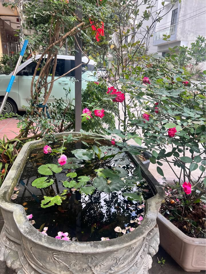 Cho thuê Nhà 9PN Đường Lương Thế Vinh, Bắc Ninh - Giá 37 Triệu/Tháng