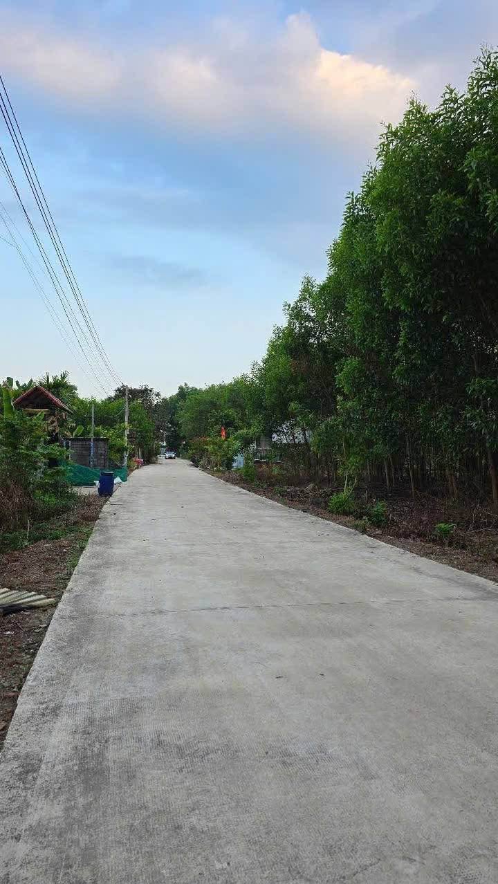 Đất nền Bắc Tân Uyên 600m² - Sổ đỏ chính chủ, tiềm năng sinh lời!