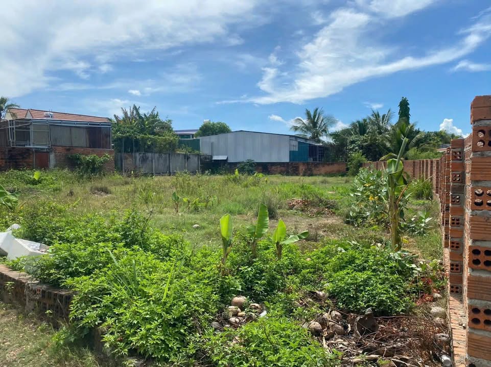 Bán Đất Vườn Ninh Hòa 694m² Sổ Hồng Sẵn Sàng - Giá 3.7 Tỷ