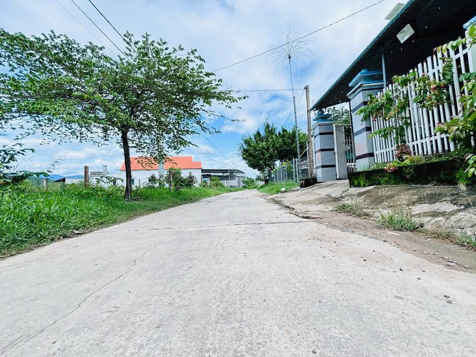 Đất Nền 2 Mặt Tiền Phước Lâm, Ninh Xuân - 569m² Thổ Cư, Giá 1.7 Tỷ