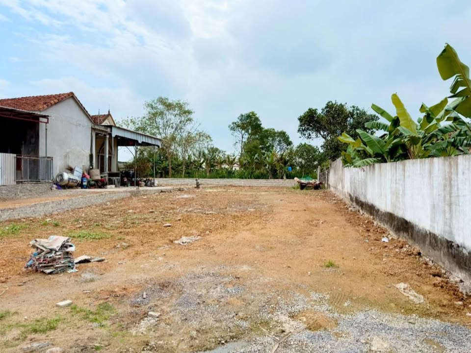 Đất nền Quỳnh Văn Quỳnh Lưu 126m² - Sổ đỏ chính chủ sẵn sàng!