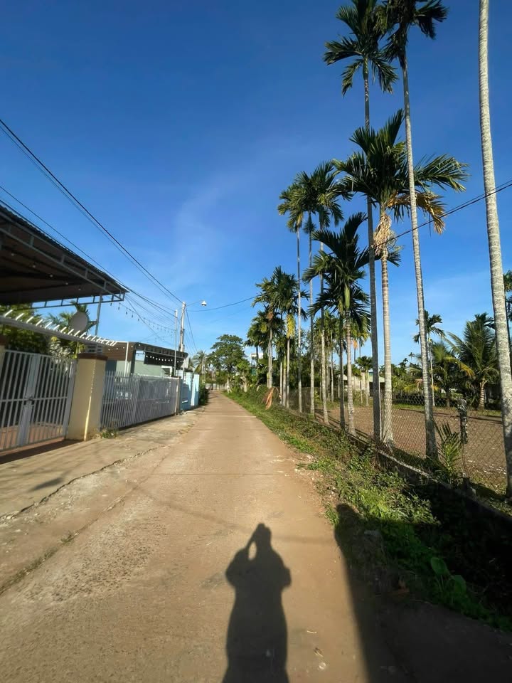 Đất nền Cư Suê 120m² giá 860 triệu - Hạ tầng hoàn thiện đường ô tô