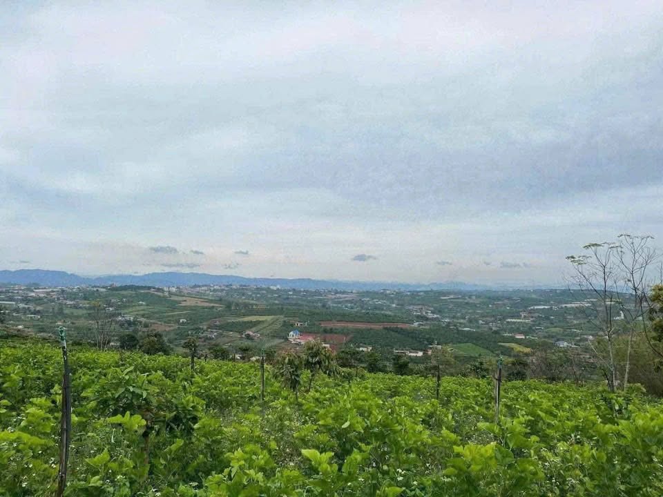 Đất Vườn Tân Hà, Lâm Hà 3100m² giá 1.7 tỷ - View thiên nhiên hùng vĩ!