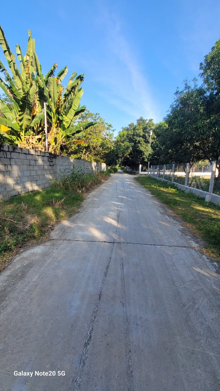 Đất nền Cam Lâm, Khánh Hòa 960m² - Đầu tư tích sản giá tốt