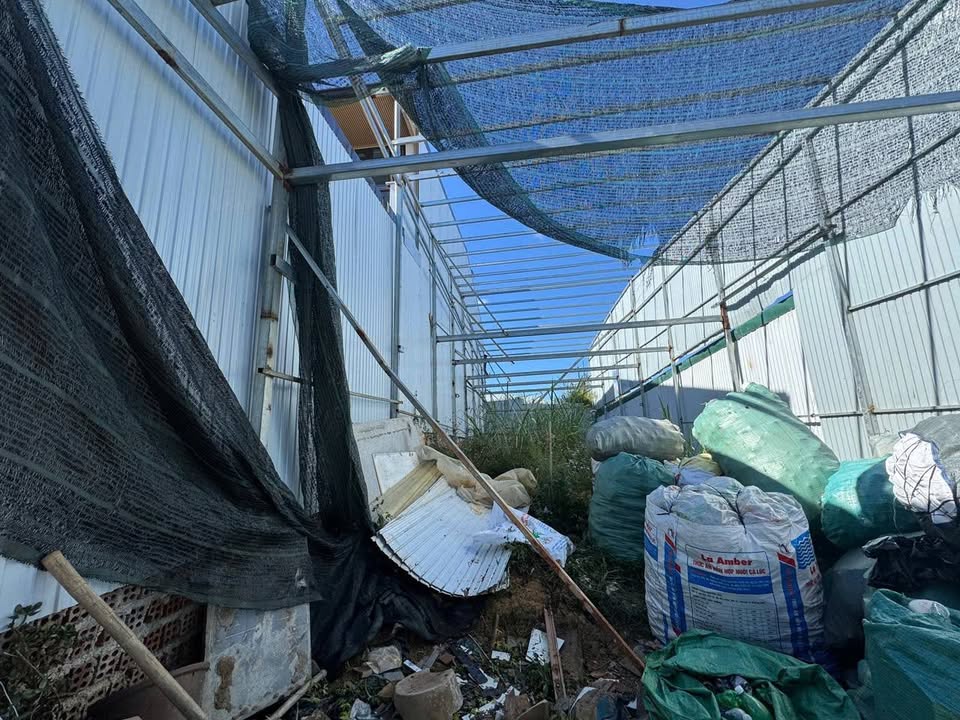 Đất nền Tô Vĩnh Diện Đà Lạt 143m² - Sổ đỏ chính chủ, ô tô vào tận nơi!