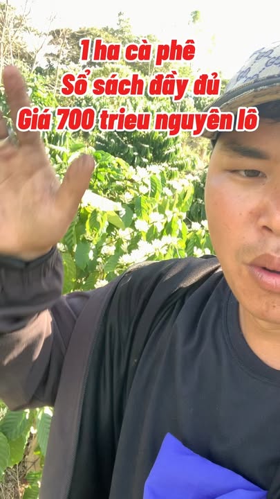 Đất vườn cà phê 1ha Đắk Drô, Krông Nô - Giá chỉ 700 triệu, Sổ đỏ chính chủ