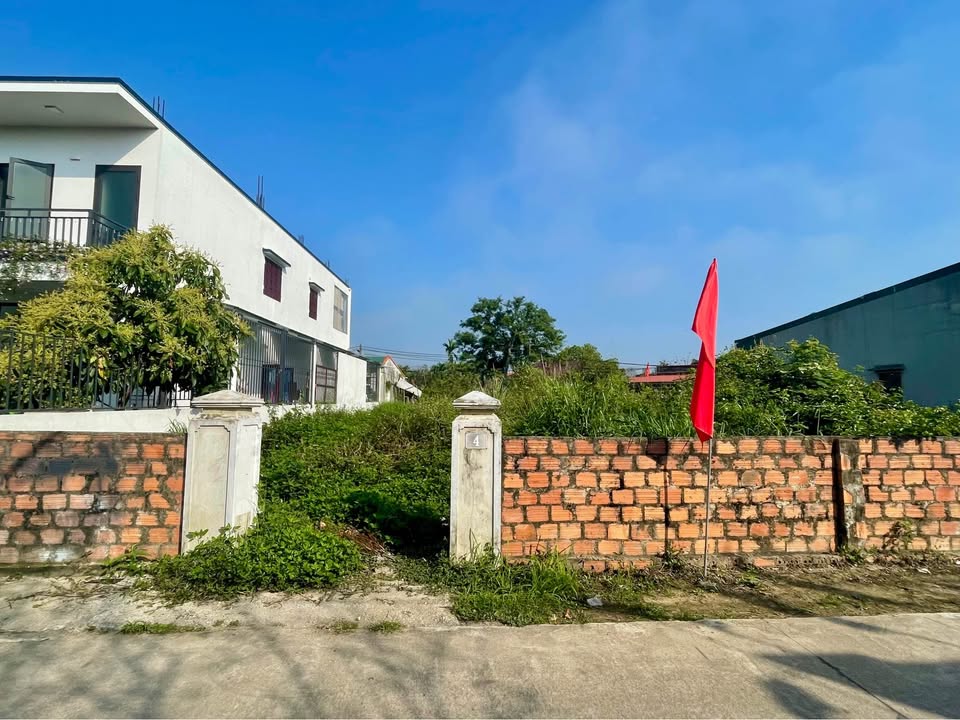 Đất nền Đường Đặng Thai Mai Đồng Hới 132m² - Tiềm năng tăng giá!