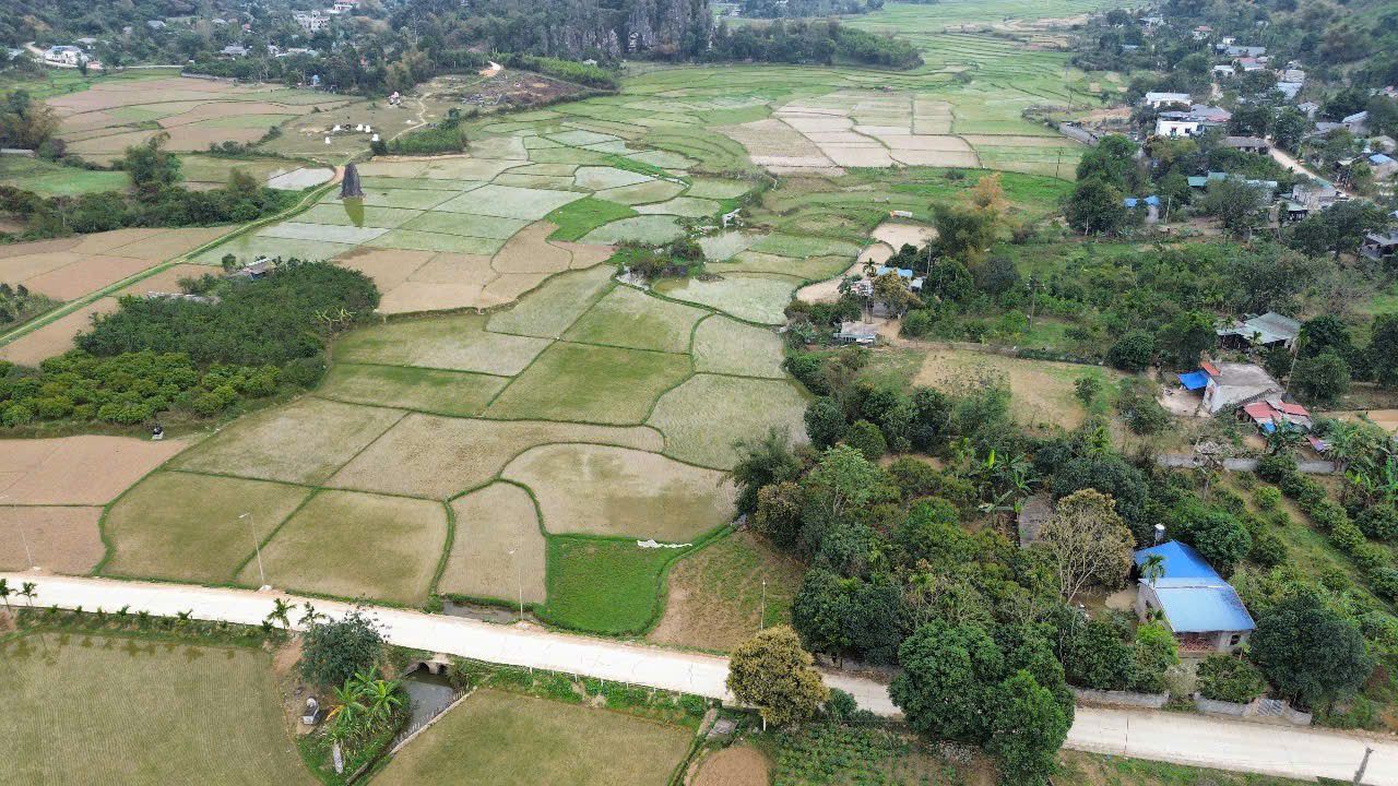 Đất vườn Liên Sơn Lương Sơn 1525m² giá 4 tỷ - Nghỉ dưỡng lý tưởng!