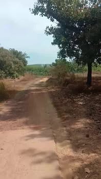 Đất Nền Tân Phước Đồng Phú 25.000m² - Sổ Hồng Sẵn Sàng