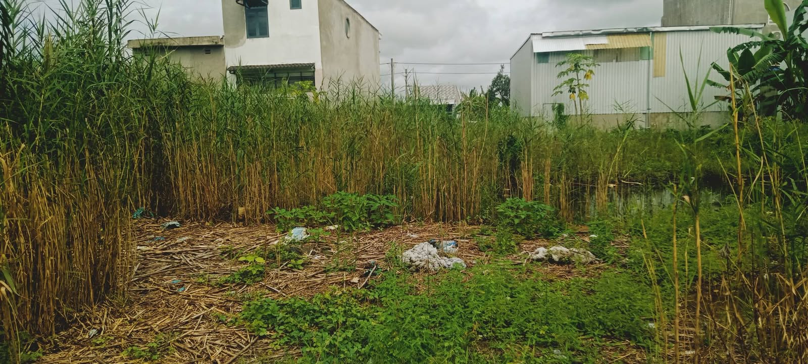 Đất nền KDC Vạn Phát Cái Tắc 100m² - Hạ tầng hoàn thiện