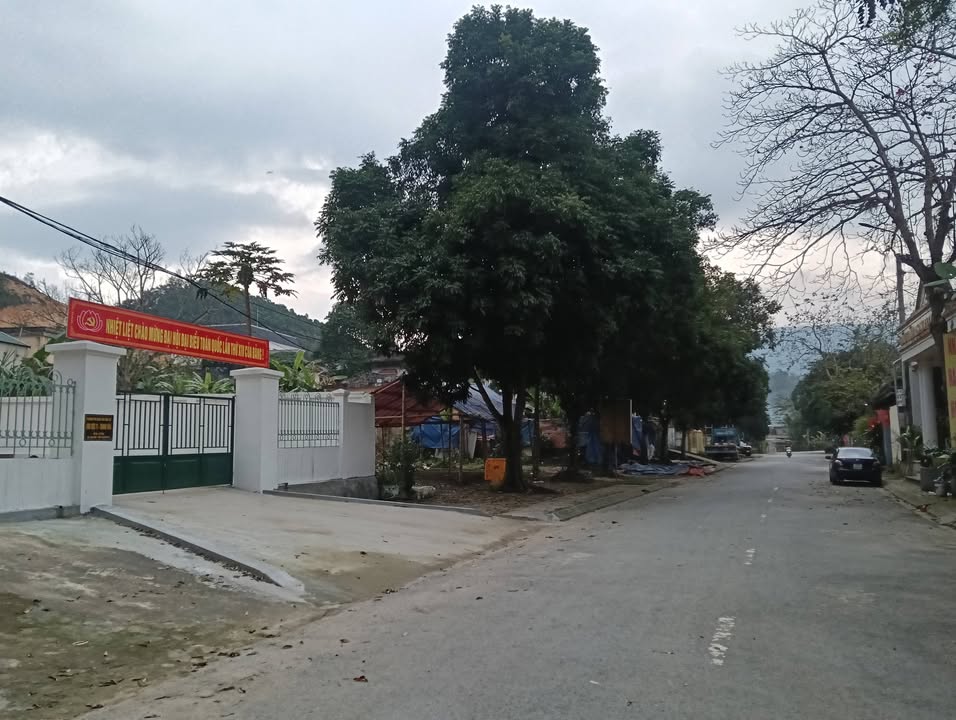 Đất nền Lang Chánh 480m² - Sổ đỏ chính chủ, vị trí đắc địa!