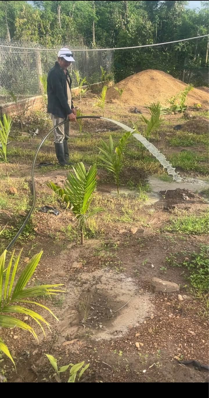 Đất thổ cư 495m² Ea Kar, Đắk Lắk - Sổ hồng, 2 mặt tiền giá chỉ 970 triệu