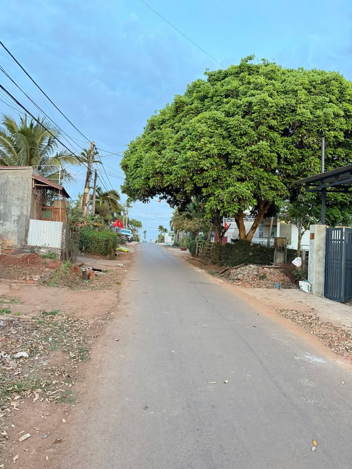 Mặt Tiền Nguyễn Thị Minh Khai, Buôn Hồ - Lô Đẹp 146m² Giá 1.8 Tỷ